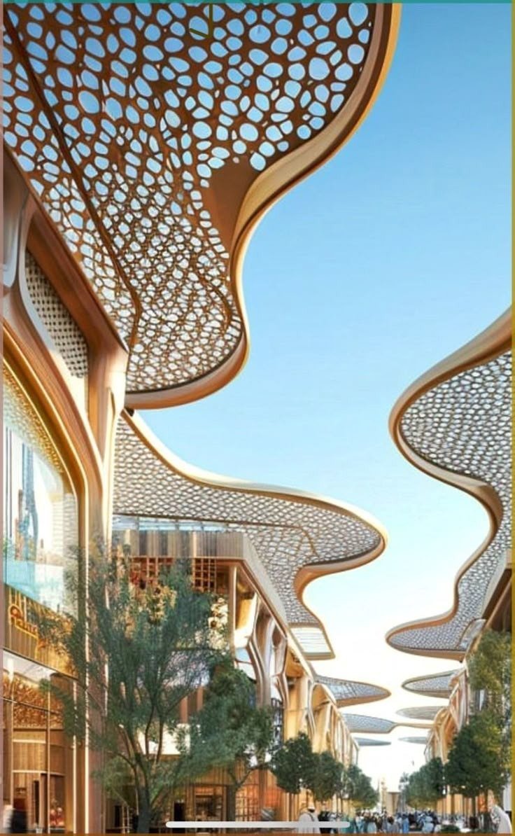 صورة 2